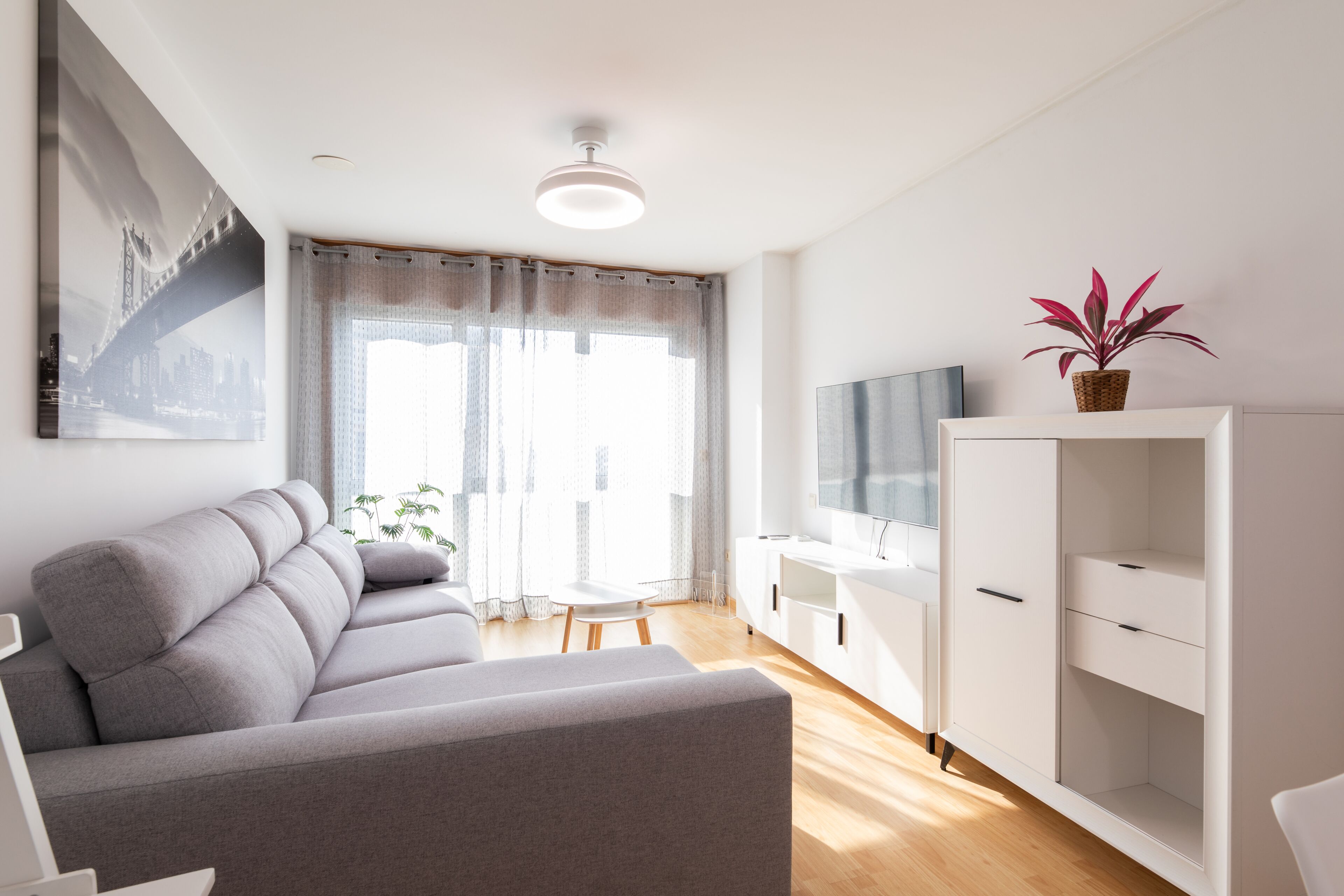Un salon moderne avec un canapé gris, un meuble TV blanc et une plante en pot.