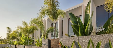 A modern building with a stone facade, large windows, and tropical plants.