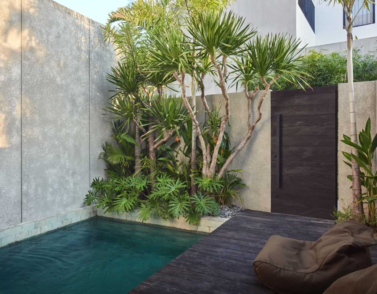 A modern outdoor pool area with a concrete wall, tropical plants, and a dark wooden deck.