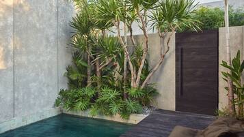 A modern outdoor pool area with a concrete wall, tropical plants, and a dark wooden deck.