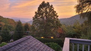 A residential area with a prominent tree, a power line, and a house with a dark roof. - Rhododendron Retreat— Dog-Friendly, Sauna, Mountain Views, Appalachian Trail (Roan Mountain)