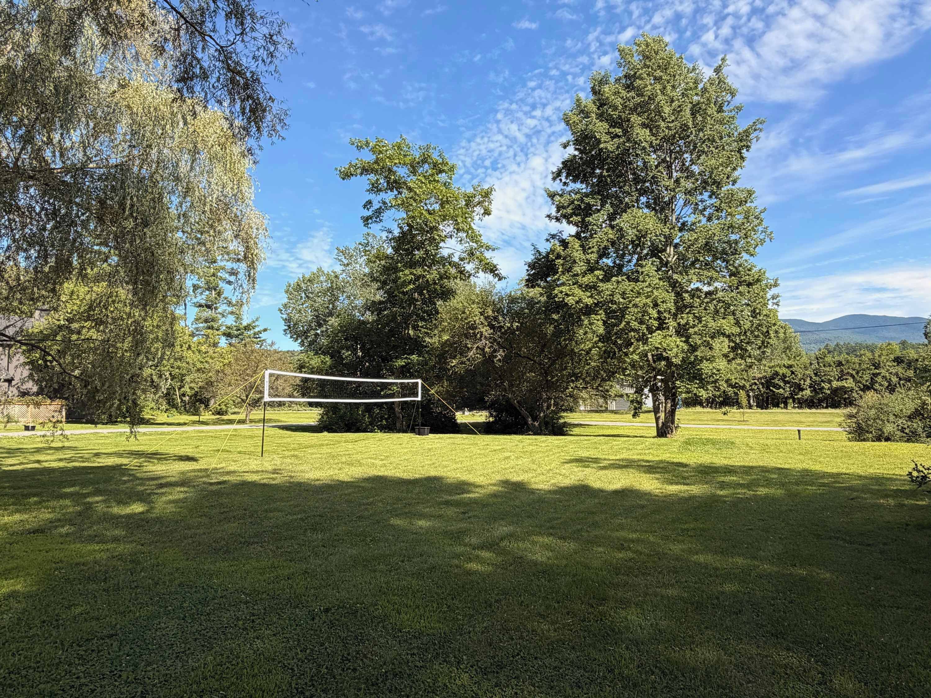 A grassy area with a volleyball net, surrounded by trees and a clear sky.