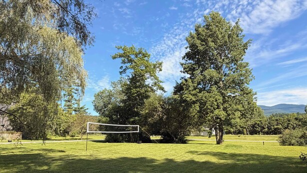 Eine Rasenfläche mit einem Volleyballnetz, umgeben von Bäumen und blauem Himmel.
