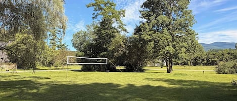 A grassy area with a volleyball net, surrounded by trees and a clear sky.