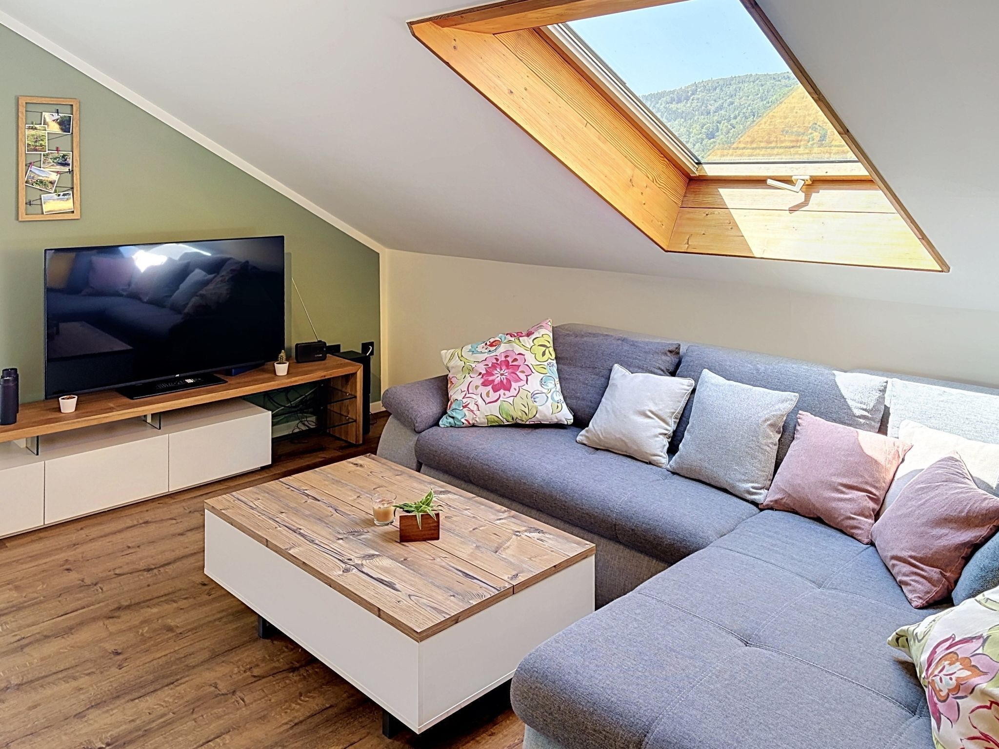 Fernseher
