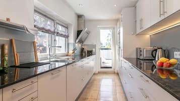 Een moderne keuken met een centraal eiland, roestvrijstalen apparatuur en uitzicht op het buiten.