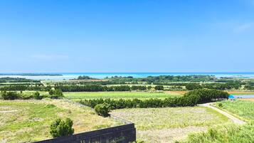 Pemandangan dari properti