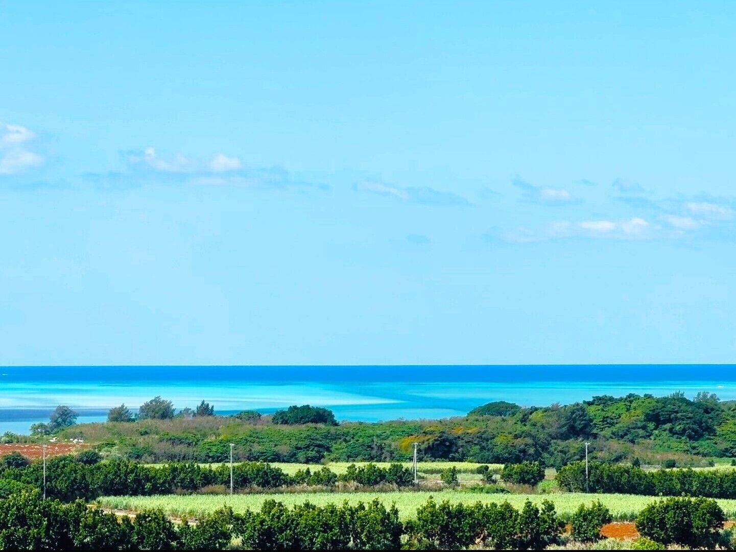 Vista del balcón