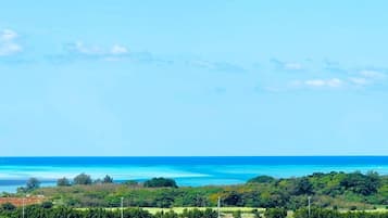 Vista del balcón