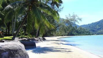 A beach with large rocks, palm trees, and clear blue water.