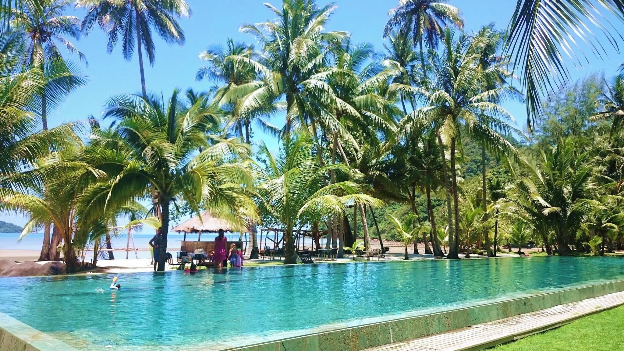 A swimming pool surrounded by palm trees and a beach in the background.