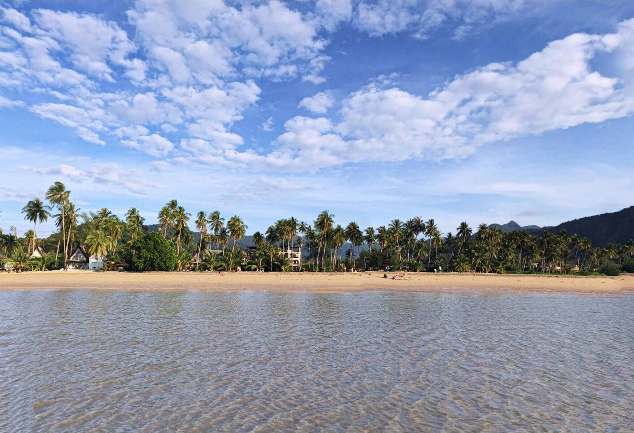 A beach with clear water, palm trees, and a few buildings in the background.