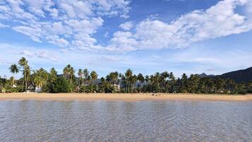 A beach with clear water, palm trees, and a few buildings in the background.