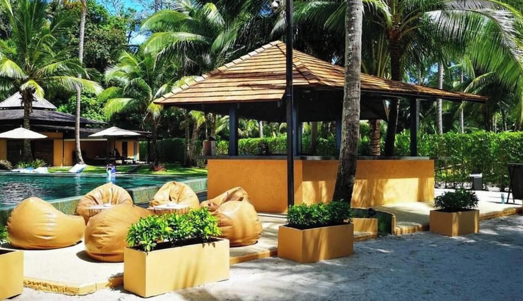 A resort pool area with lounge chairs, a covered seating area, and palm trees.