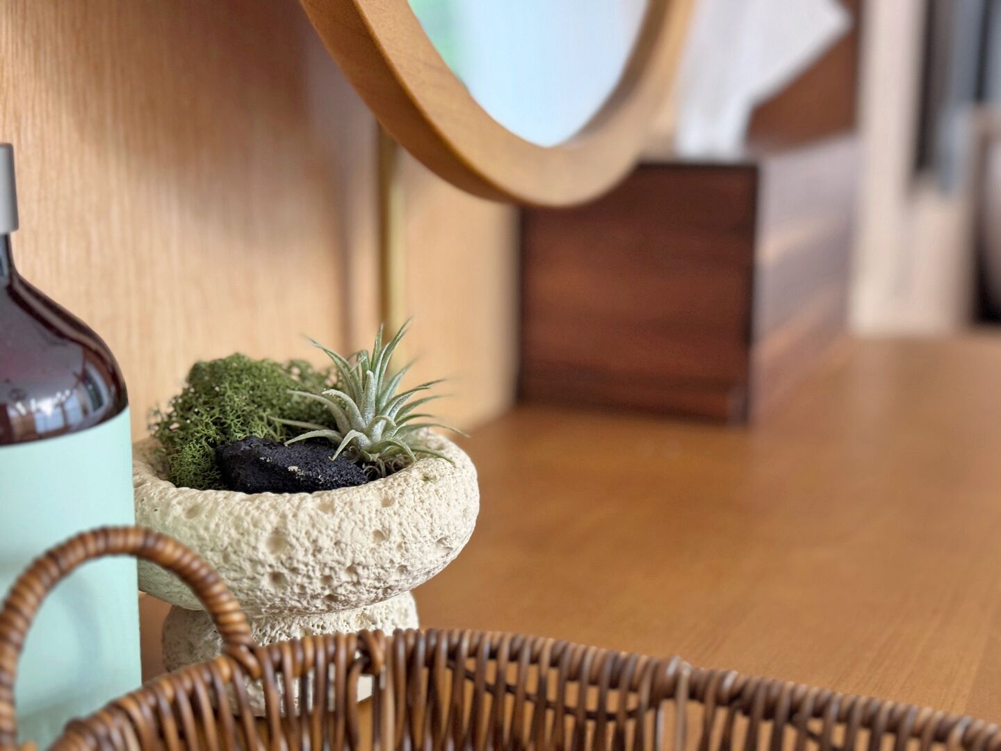 A small potted plant on a wooden table with a woven basket in the foreground.