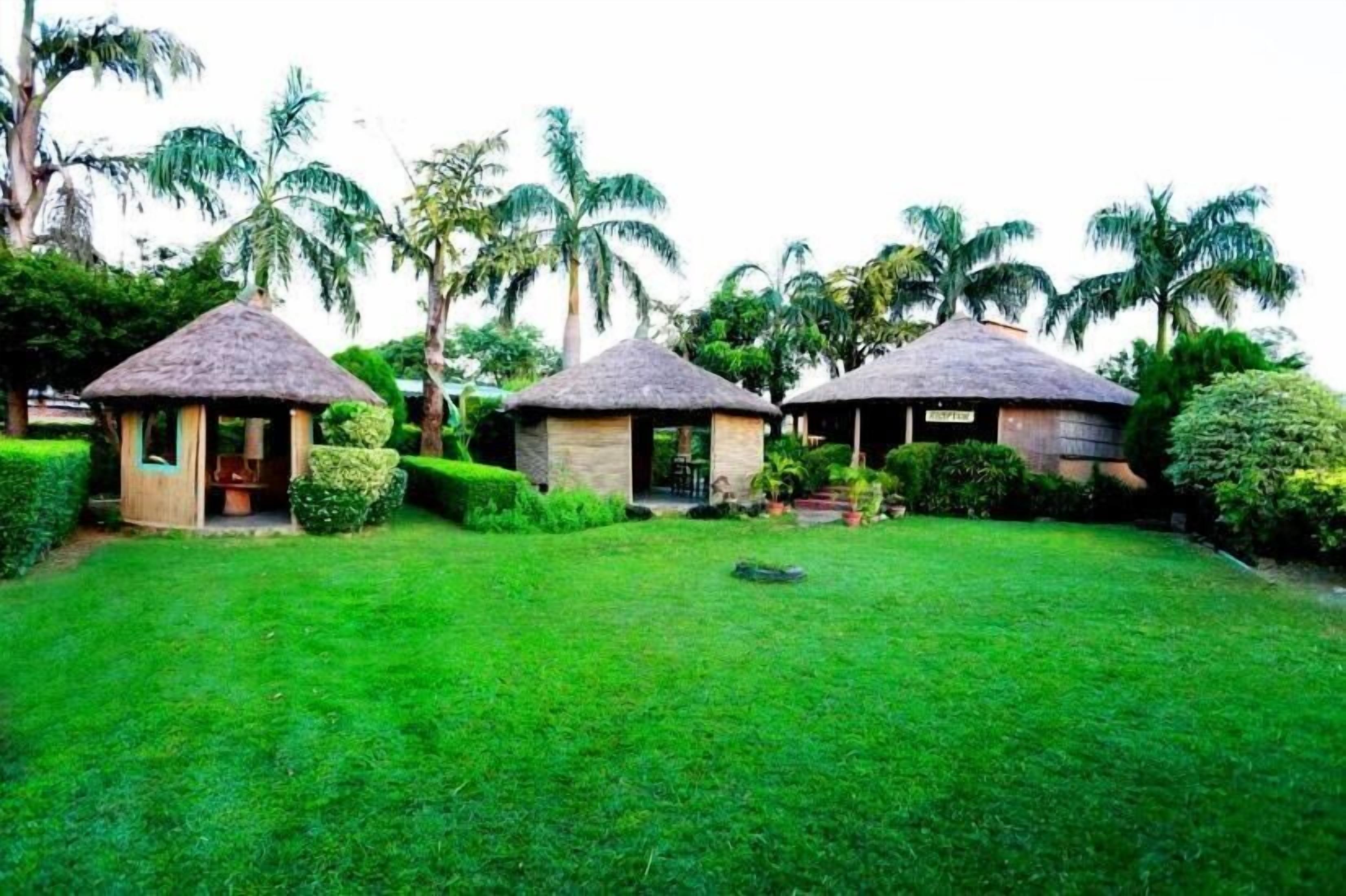A property with thatched-roof structures, a well-maintained lawn, and palm trees.