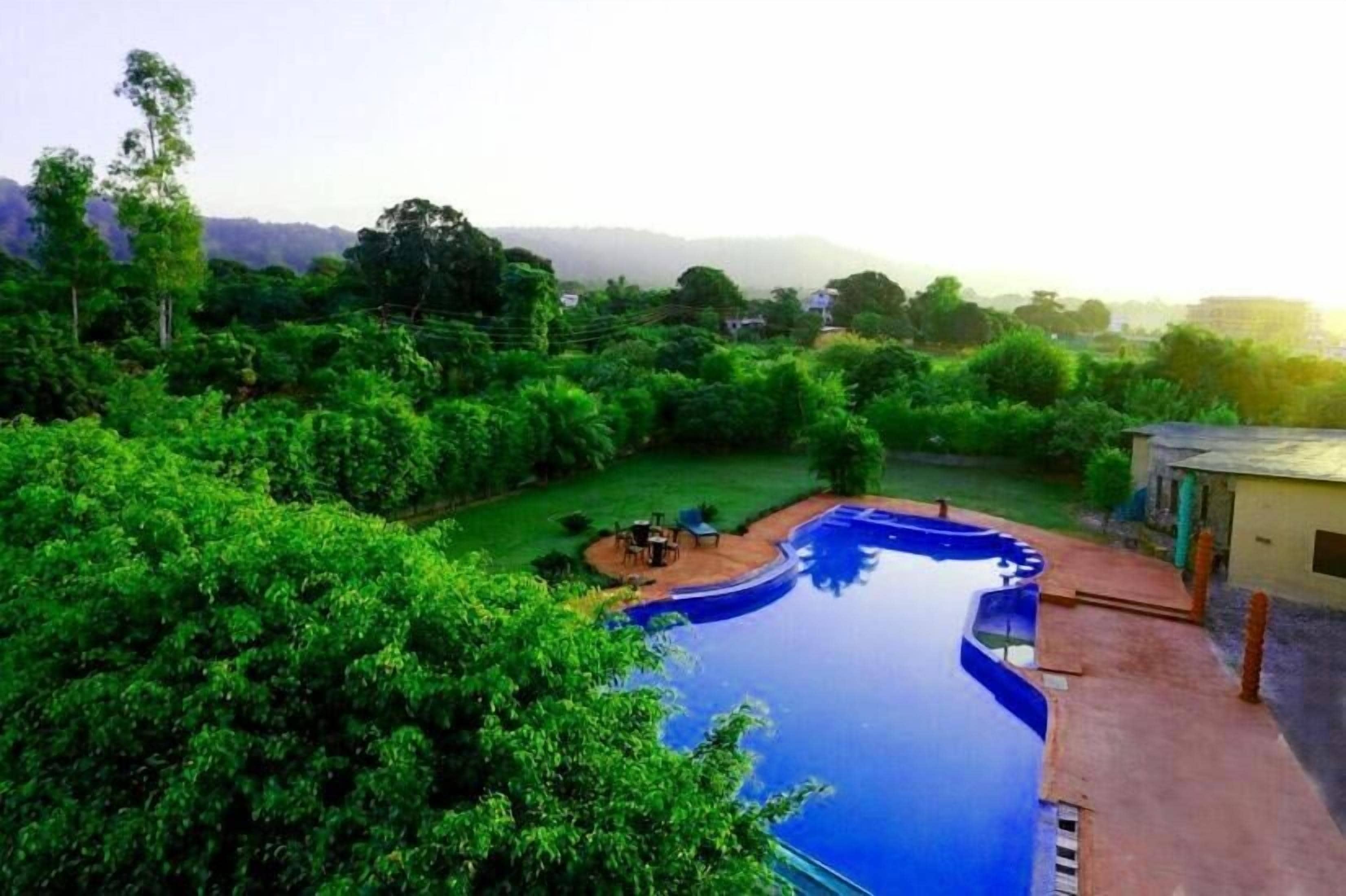 A swimming pool surrounded by lush greenery, with a view of distant hills.