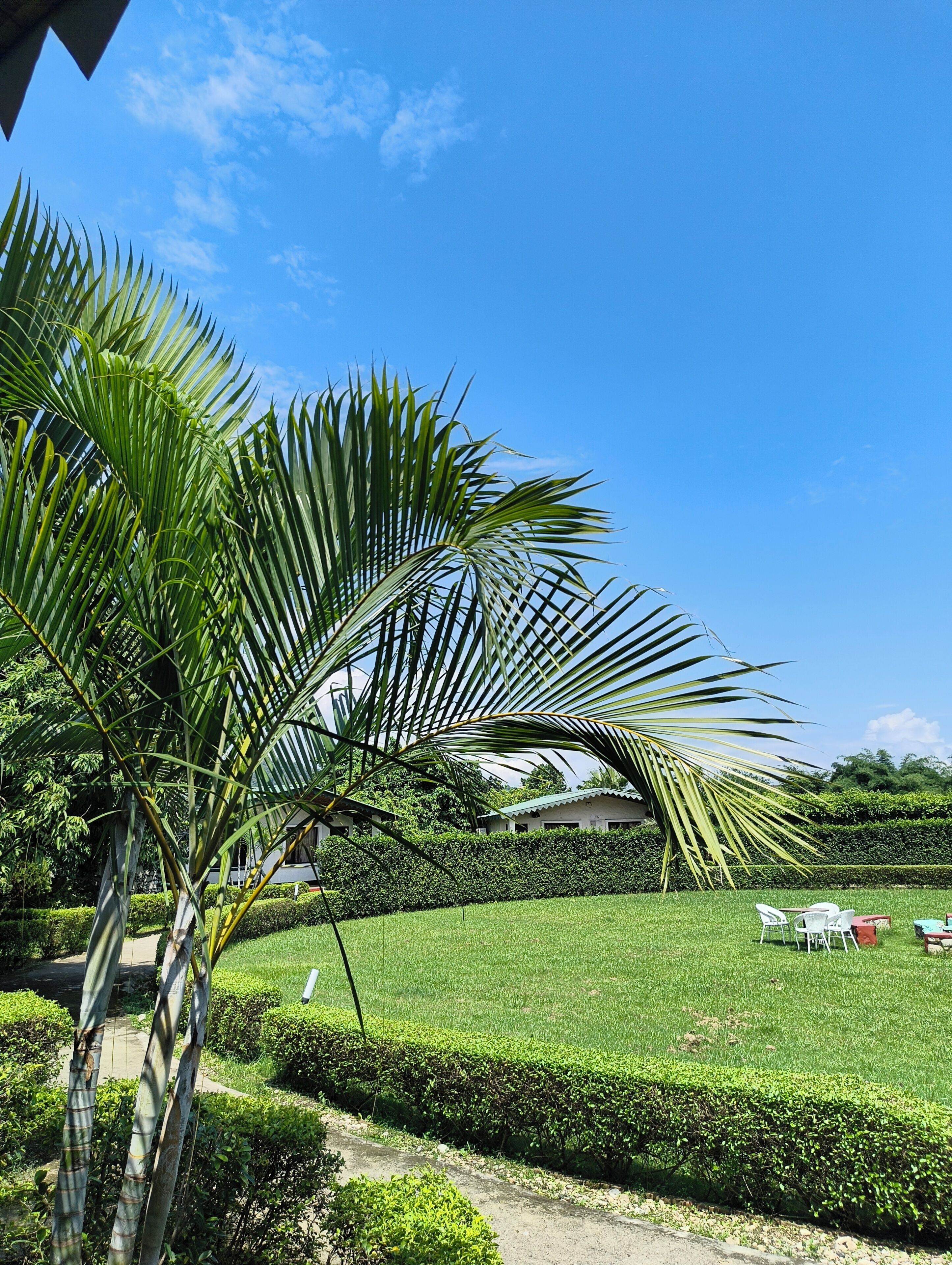 Blick auf den Garten