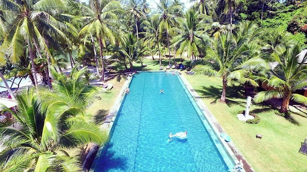 A rectangular swimming pool surrounded by palm trees, with a few people in the water.