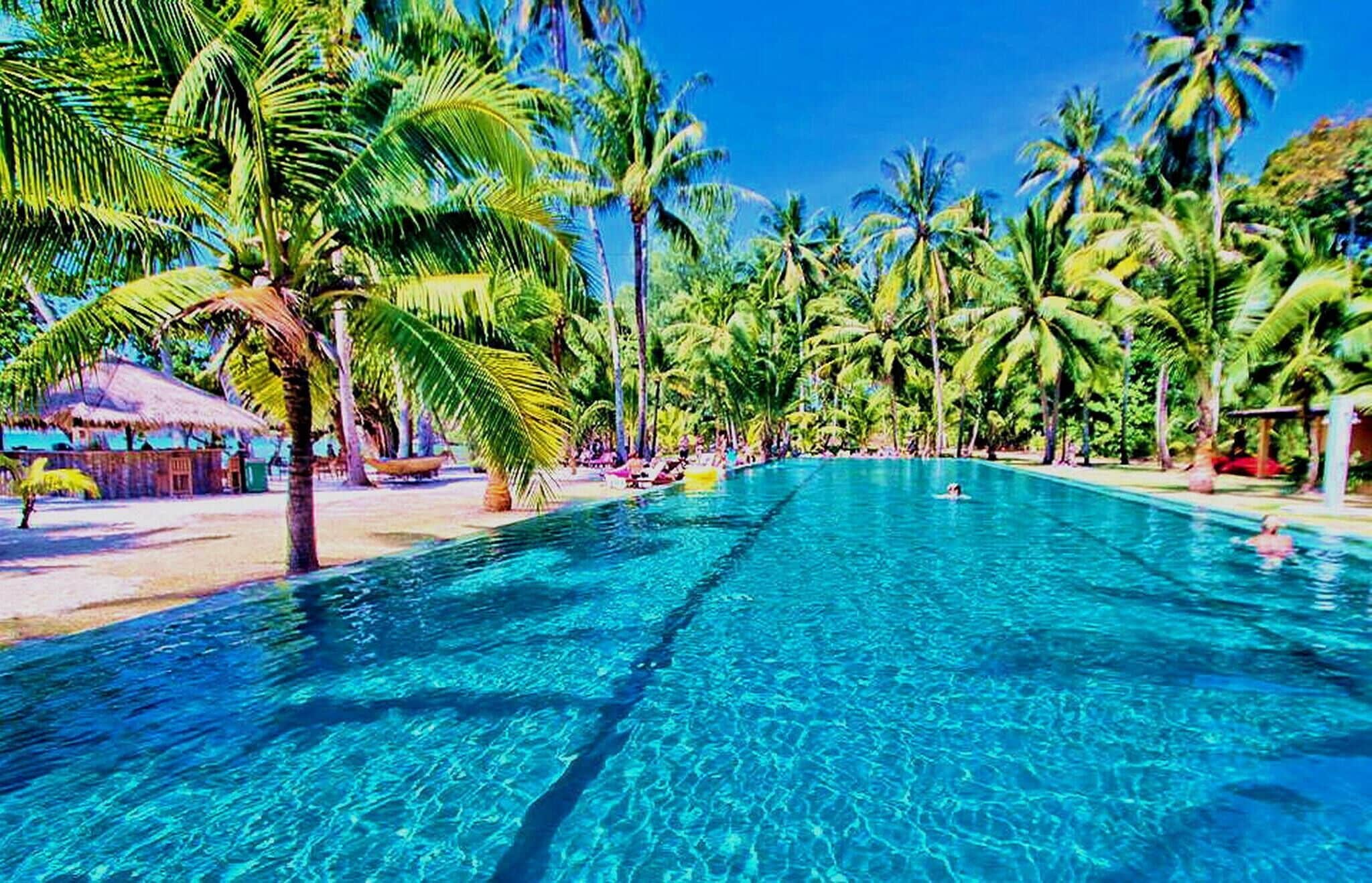 Una piscina azul cristalina rodeada de palmeras y una estructura con techo de paja.
