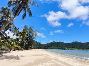 Une plage bordée de palmiers, sous un ciel bleu et dégagé.