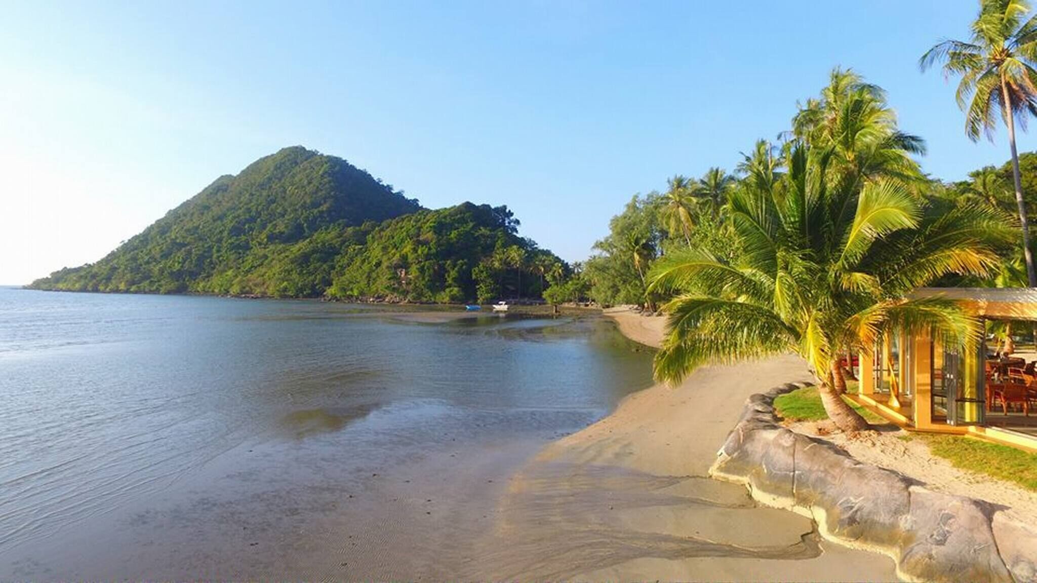 A beach with a mountain, palm trees, and a small structure.