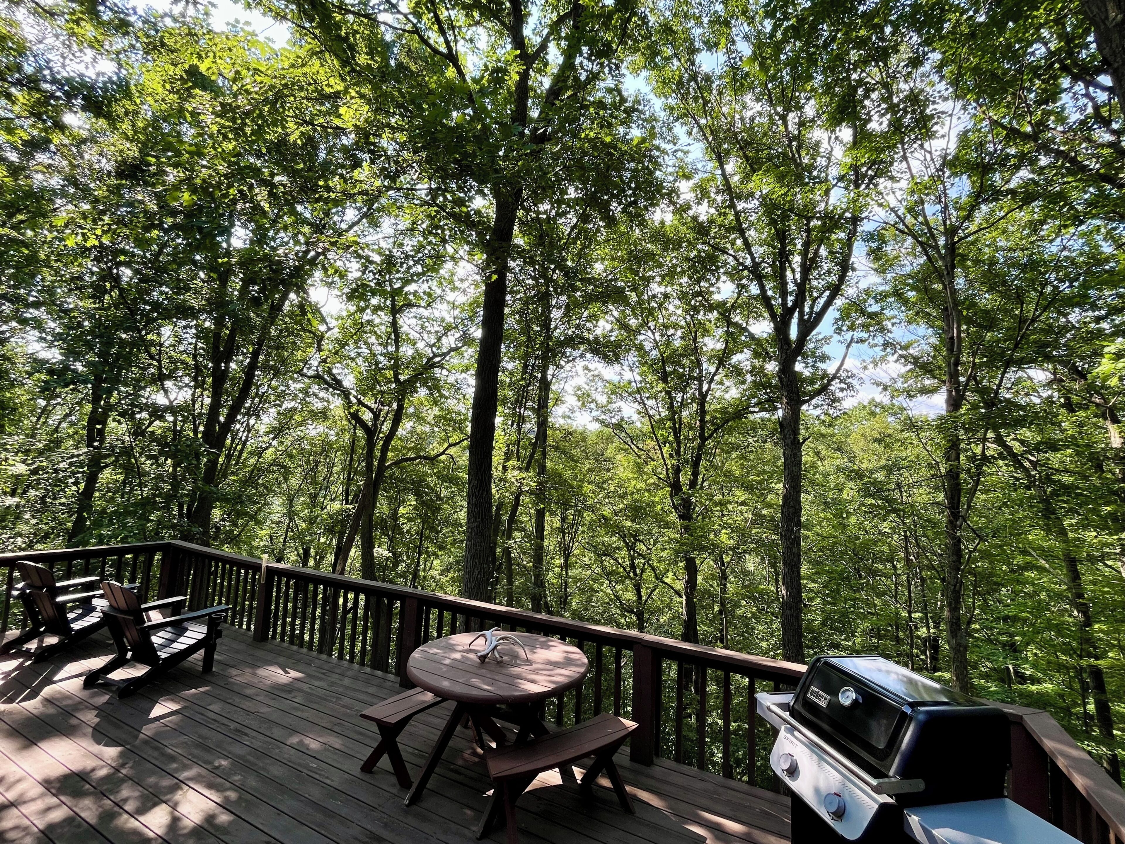 Eine Holzterrasse mit Grill, Picknicktisch und Stühlen, umgeben von dichtem Baumbestand.