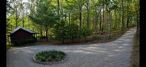 Property grounds - A secluded luxury retreat on 20 private acres. Greenbrier Ridge Hideaway. (South Bloomingville)