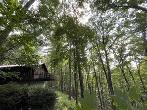 Een houten chalet met een balkon, omgeven door dicht bos.