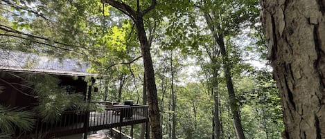 Une cabane en bois à deux étages, dotée d’une terrasse et entourée d’une forêt dense.