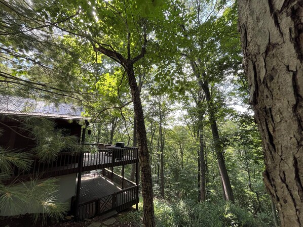 A two-story wooden cabin with a deck, surrounded by dense forest.