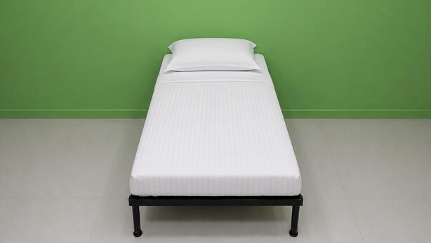 Dormitorio compartido clásico | Escritorio, espacio para trabajar con un portátil, wifi gratis