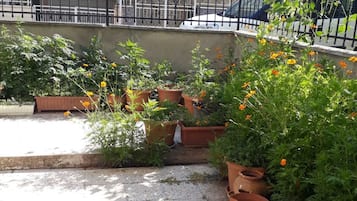 Standard-Apartment, Balkon | Unterkunftsgelände