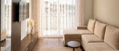 A modern living room with a sofa, a TV, a patterned rug, and a view through sheer curtains.