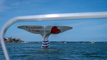 A boat with a whale tail fin featuring the text 'Arcachon Je t'aime' and a red heart.
