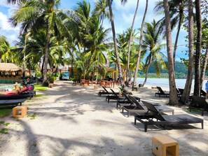 A beachside resort with lounge chairs, a pool, and palm trees.