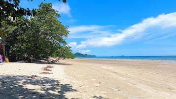 A beach with a clear sky, trees, and a sandy shore.