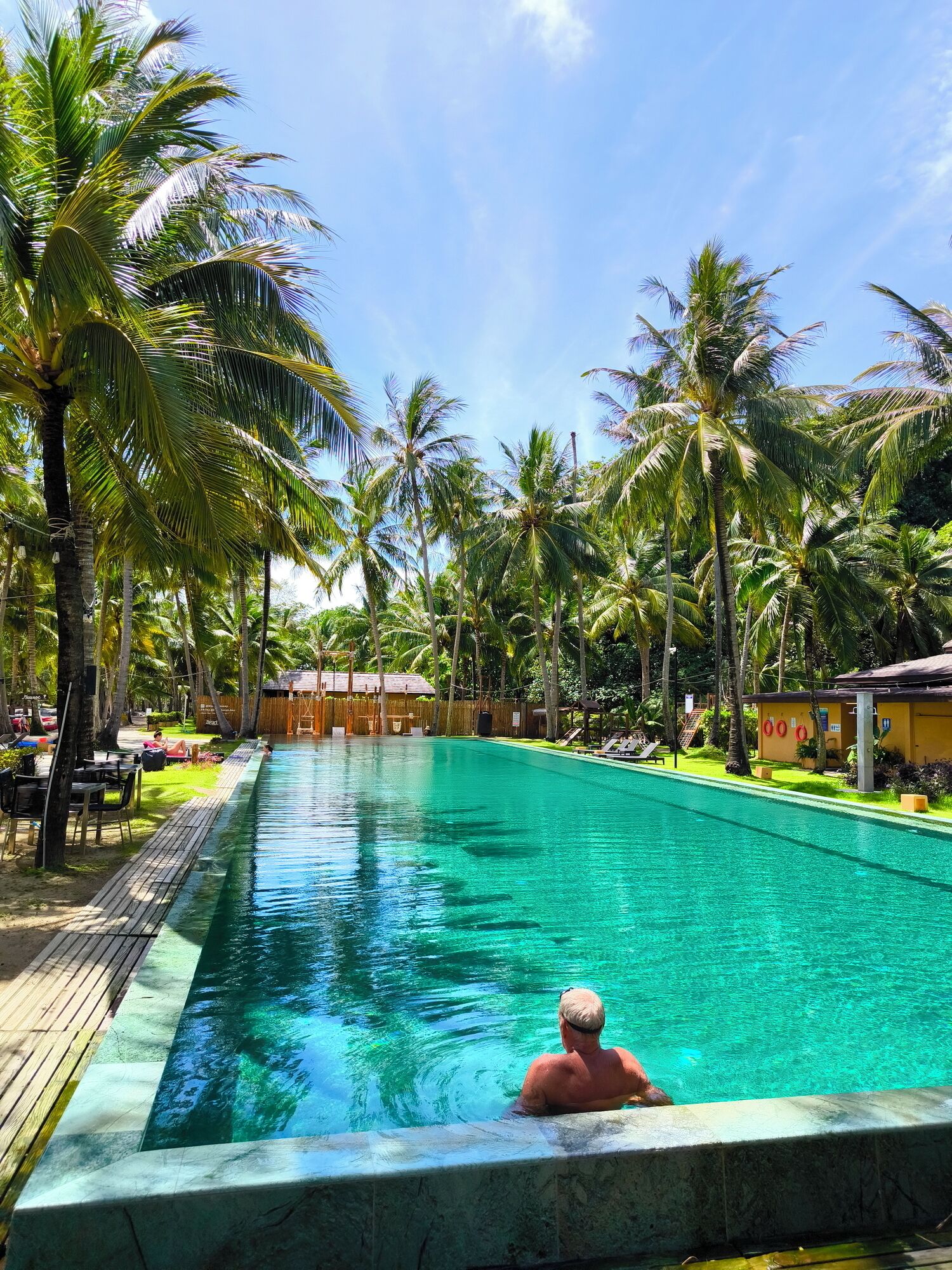 A swimming pool with a wooden deck, surrounded by palm trees and a clear sky.