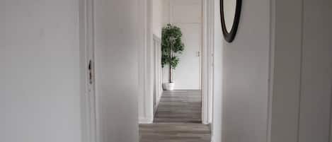 A hallway with a wooden floor, white walls, and a potted plant at the end.
