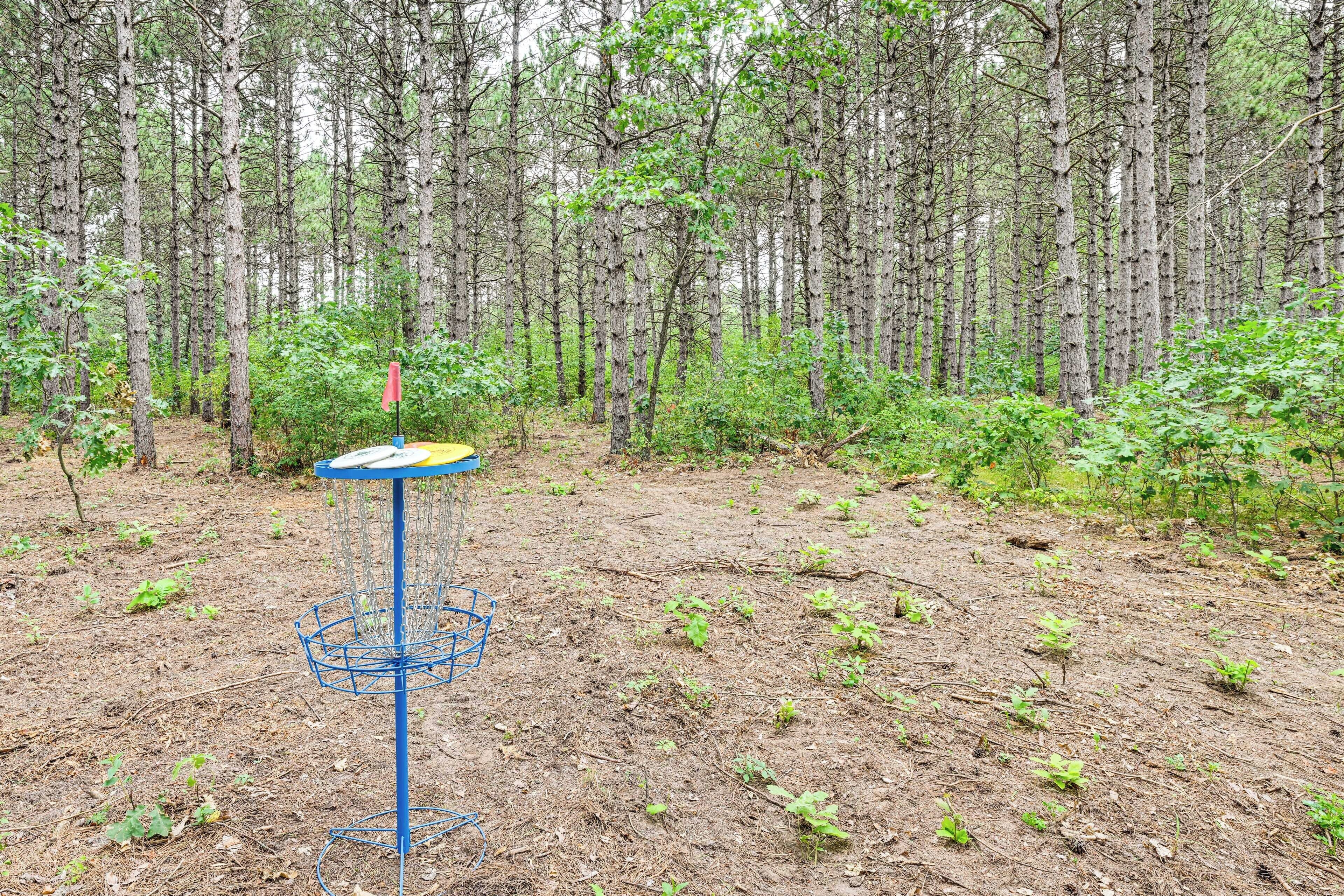 A disc golf basket in a forested area.