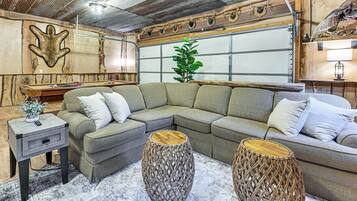 TV, fireplace, books, video library