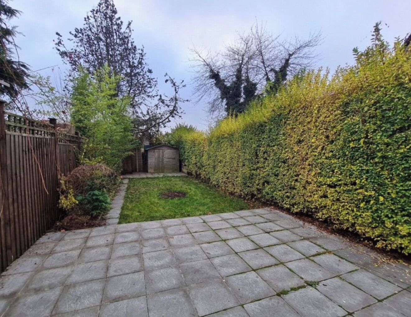 A paved garden pathway leading to a grassy area with a wooden shed and a tall hedge.