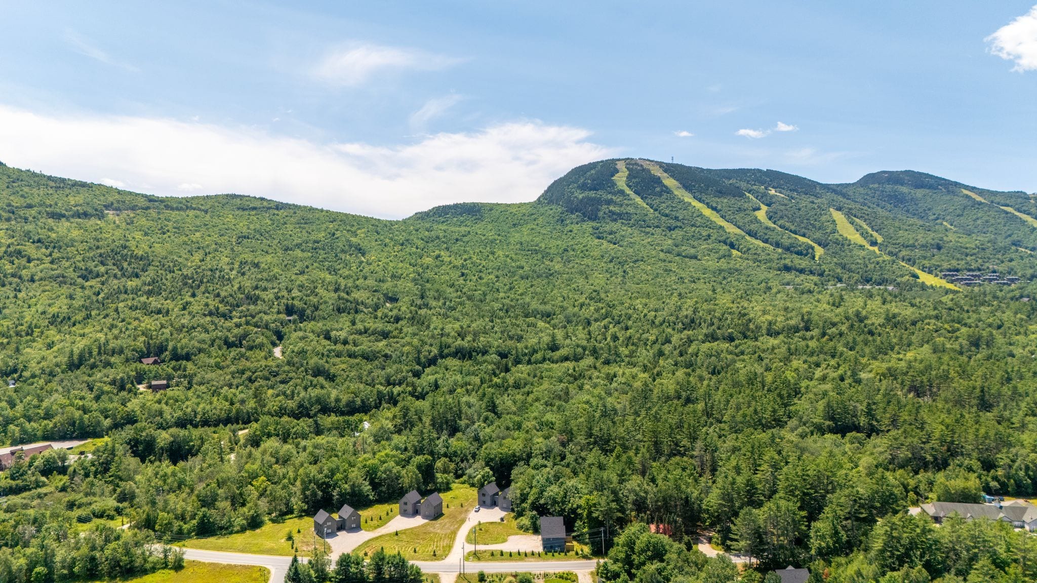 A residential area with houses surrounded by dense forest and hills in the background.