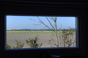 Paesaggio rurale visto attraverso una finestra: campi, un albero e un edificio in lontananza.