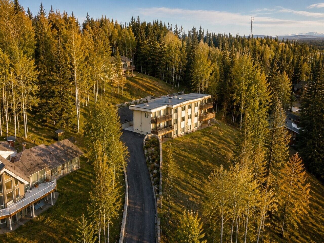 A modern multi-story building with a flat roof, surrounded by a dense forest.