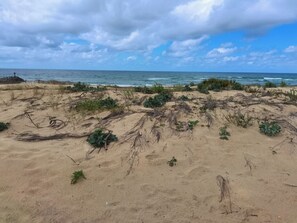 Beach - appartement t2 - Mimizan plage - front de mer, vue imprenable - 2 à 4 personnes (Mimizan)
