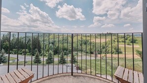 En balkon med gelænder i metal, træbænke og udsigt over et grønt landskab med træer og en vej.