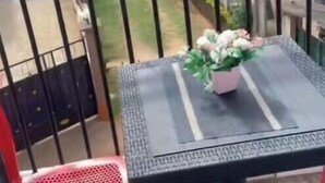 Outdoor dining - Cozy, Spotlessly Clean & Beautifully Appointed Luxury Apartment (Centre Region)