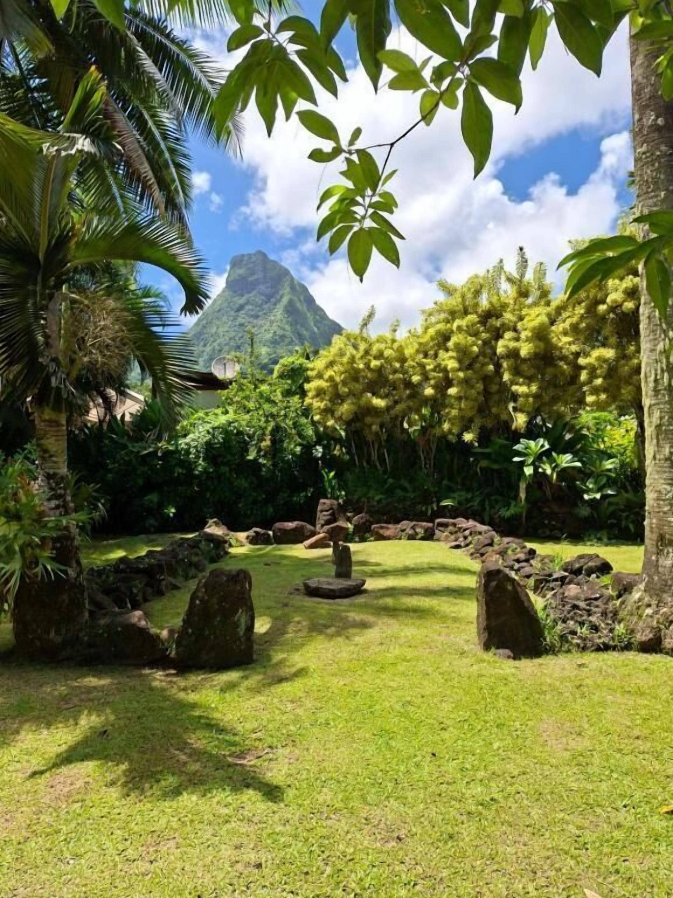 A tropical garden with a clear sky, a mountain in the background, and a pathway leading to a stone structure.