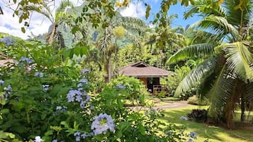 Un jardin tropical doté d’une structure en bois, d’une végétation luxuriante et d’un ciel dégagé.